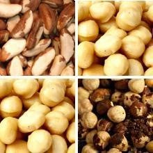 Brazil, Filberts and Macadamia