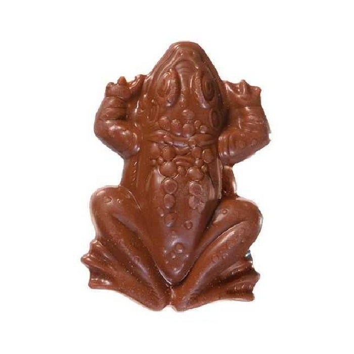 Harry Potter™ Chocolate Frog