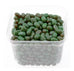 Jelly Belly Beans - Watermelon-Manufacturer-Half Nuts