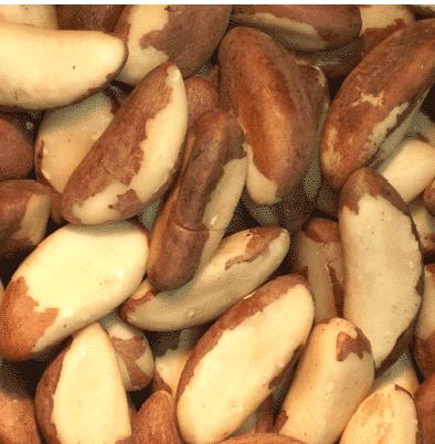 Brazil Nut Pieces —